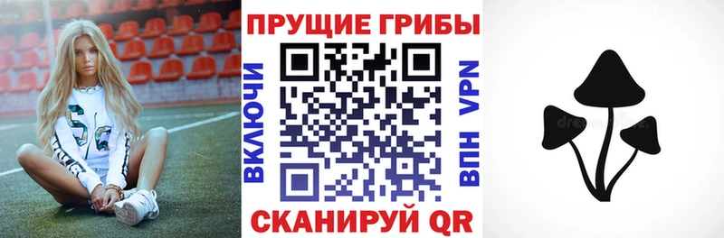 Псилоцибиновые грибы Psilocybe  Островной 